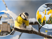 В Україну повертаються заморозки