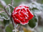 Ілюстративне зображення