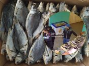 Пограбування у Дніпрі