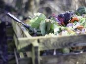 Як правильно приготувати компост