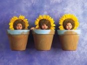 Дети – цветы жизни: креативная детская фотосессия от Анне Геддес