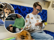 В УЗ дозволили перевозити великих тварин