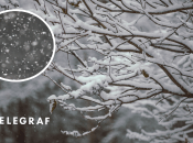 В Киеве выпал снег