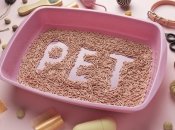 Со временем на лотке появляется белый налет