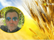 Олексій Голобуцький