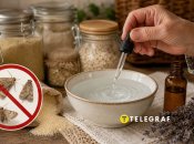 Рецепт раствора от пищевой моли