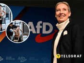 Акция протеста против Алис Вайдель