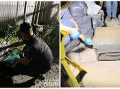 Мати поклала тіло у валізу і залила бетоном: з'явились нові подробиці вбивства дівчинки у Кривому Розі