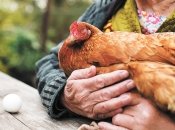 Чого очікувати від цін у майбутньому