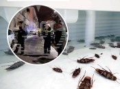 Отрута проти тарганів подіяла і на росіян