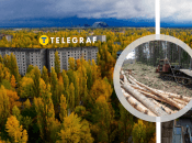 Рыжий лес в Чернобыле