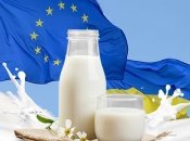 Спілка молочних підприємств України приєднується до Європейської молочної асоціації