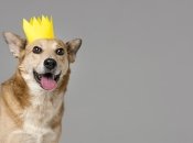 Стрельцы, Козероги и Рыбы должны быть готовыми к переменам