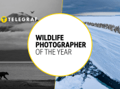 Ілюстративне фото