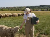 Почти все приметы про ведро обещают неприятности