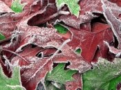 Стала известна погода на ноябрь в Украине