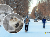 Зима в Україні