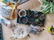 Этот процесс требует осторожности