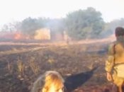 Кадр из фильма