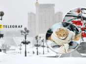 Зима в Украине