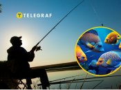 В Житомирской области поймали необычную рыбу