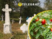 Иллюстративное изображение