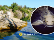 Рибалки розповідають про 100-килограмових сомів