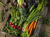 Спаржа бьет ценовые рекорды