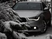 Audi среди снежного леса