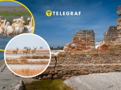 Колаж "Телеграфу"