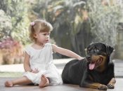 Папина наука: как научить детей не бояться собак