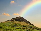 Тест на визначення характеру по картинці