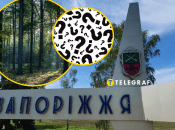 Насекомые в Запорожье