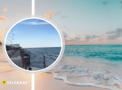 Колись тут яблуку ніде було впасти