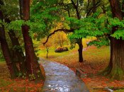 Осенний дождь в парке возле метро
