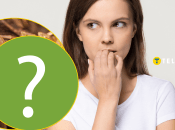 Какое редкое животное как для Украины увидели на Киевщине