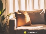 Запах затхлості з дивану легко нейтралізувати (зображення створено за допомогою ШІ)