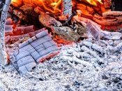 Деревний попіл