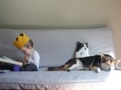 Что должен уметь ребенок в 11 месяцев