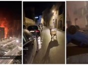 Протести у Франції