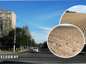 В Мелитополе нет урожая на полях