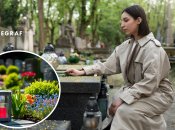 Какие цветы лучше всего сажать на кладбище