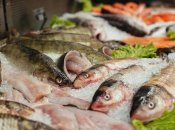 Свежую рыбу нужно хранить на льду