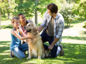 14 фильмов про животных для всей семьи