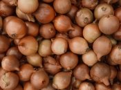 Как приготовить полезный для лука раствор - рецепт