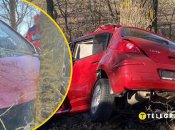 Колаж "Телеграфу"