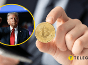 Найвідоміша криптовалюта рекордно підвищилася в ціні