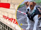 Пси Патрони в укритті насмішили українців