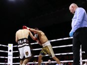 Зоравор Петросян - Фатих Дюбюш