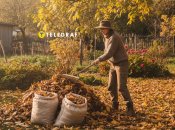 Ореховые листья можно с пользой применить на огороде как удобрение